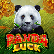 Chú Gấu May Mắn screenshot